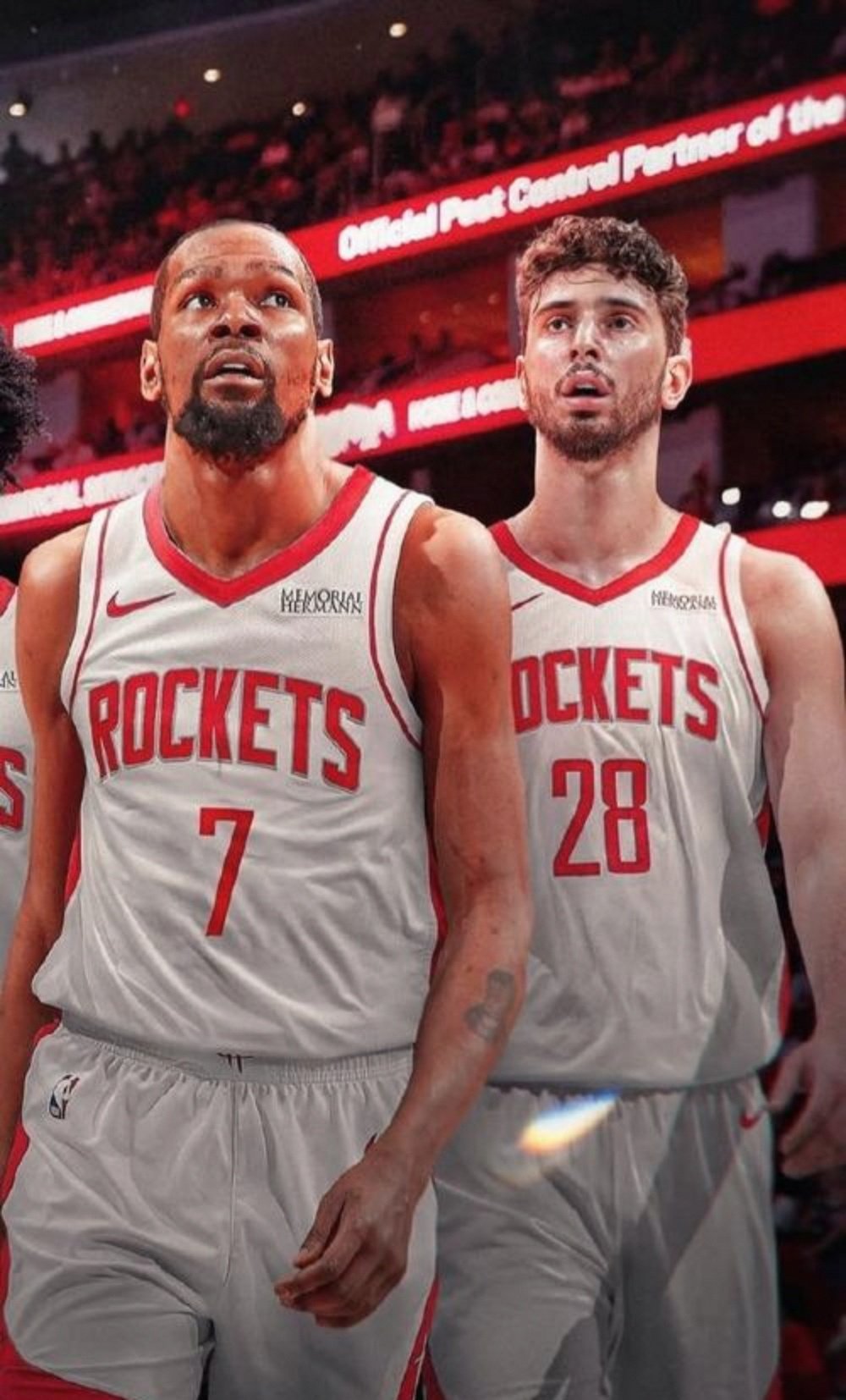 动马生命全 动马生命全